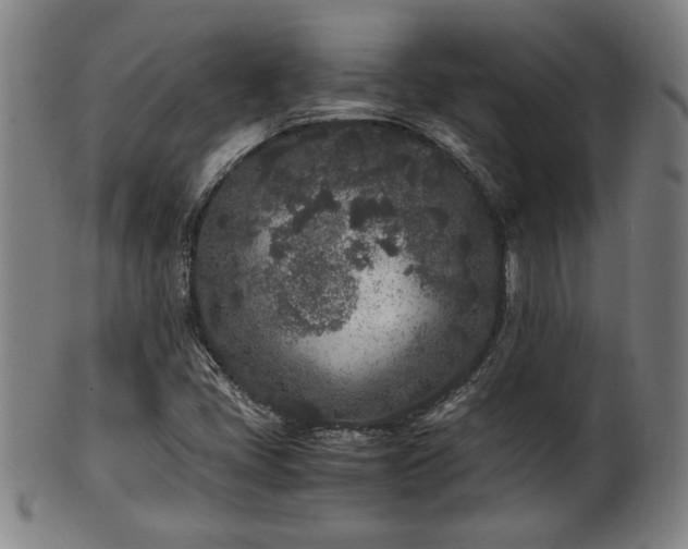X0000100351405200806061103