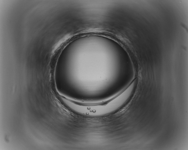 X0000100351406200806061104