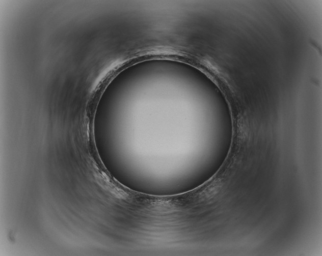 X0000100351408200806061104