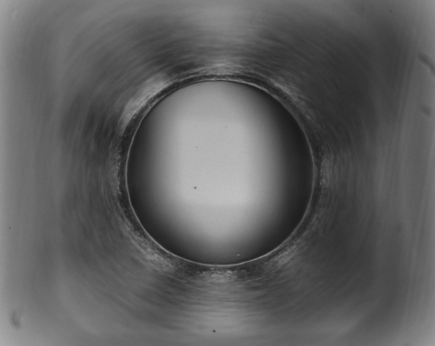 X0000100351410200806061104