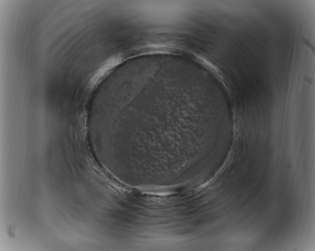 X0000100351411200806061104