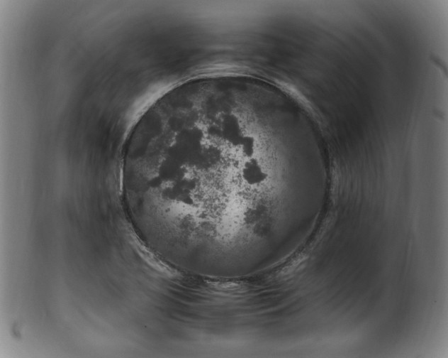 X0000100351413200806061104