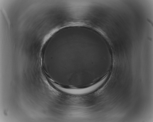 X0000100351414200806061104