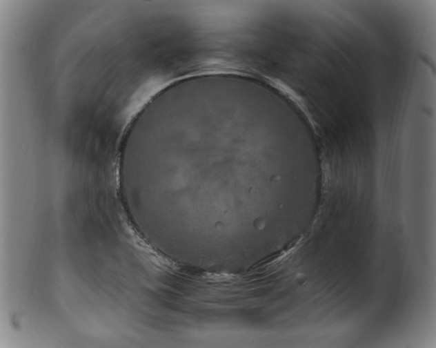 X0000100351415200806061104
