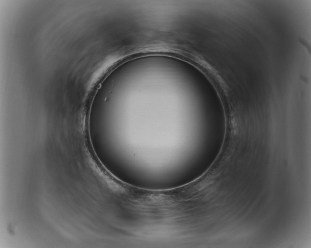 X0000100351416200806061104