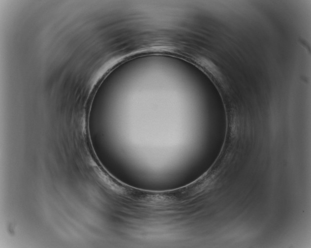X0000100351420200806061104