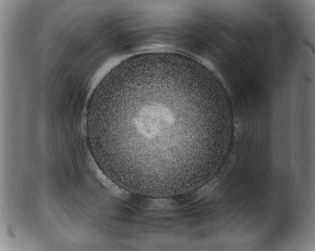 X0000100351421200806061104