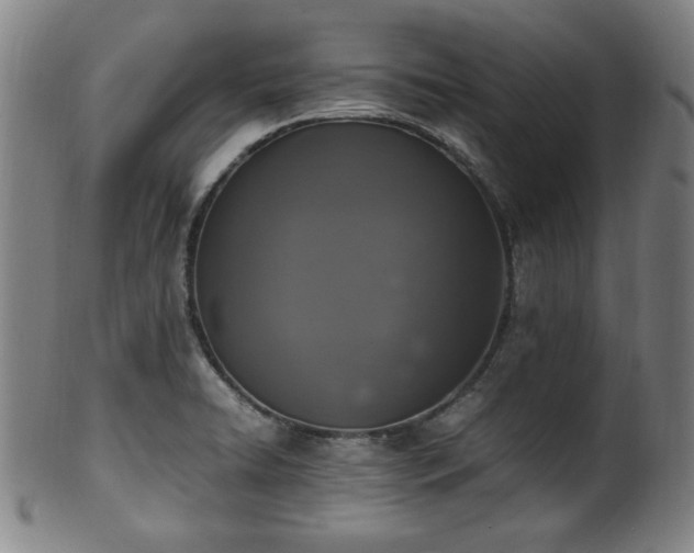 X0000100351422200806061104