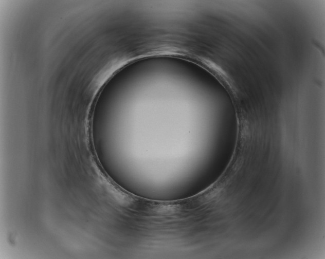 X0000100351423200806061104