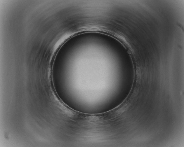X0000100351424200806061104