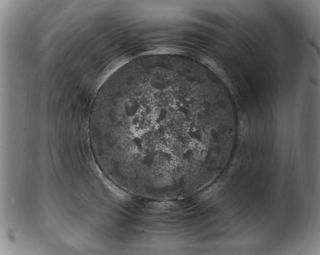 X0000100351425200806061104