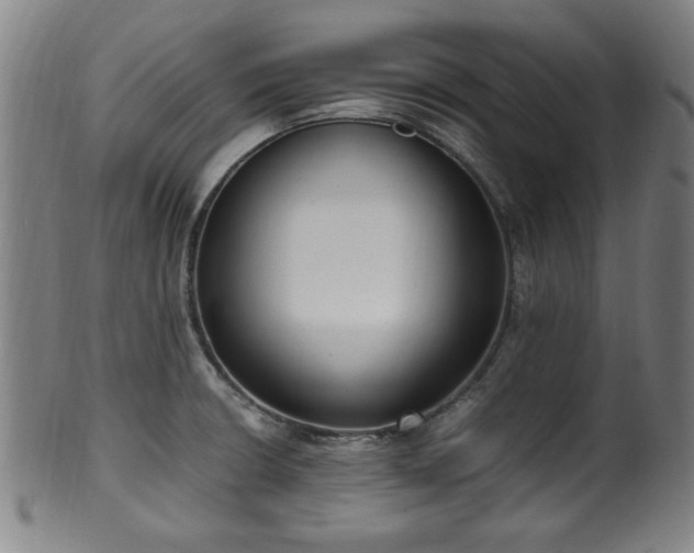 X0000100351426200806061104