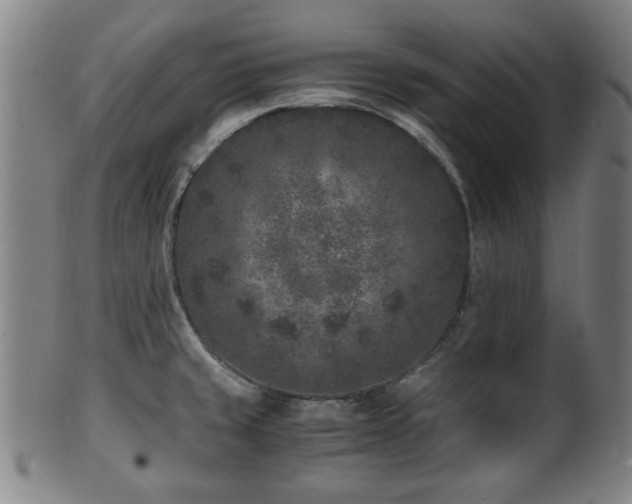 X0000100351429200806061104