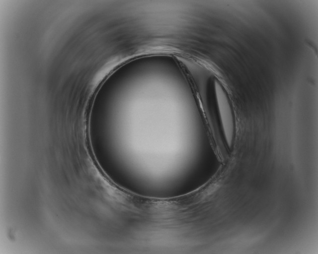 X0000100351430200806061104