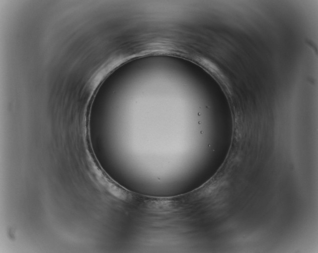 X0000100351431200806061104