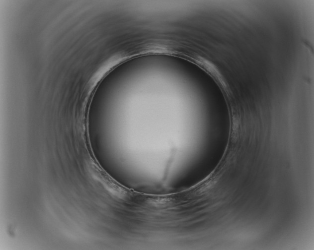 X0000100351435200806061104