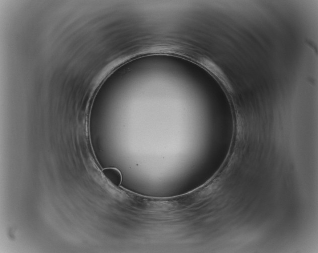 X0000100351436200806061104
