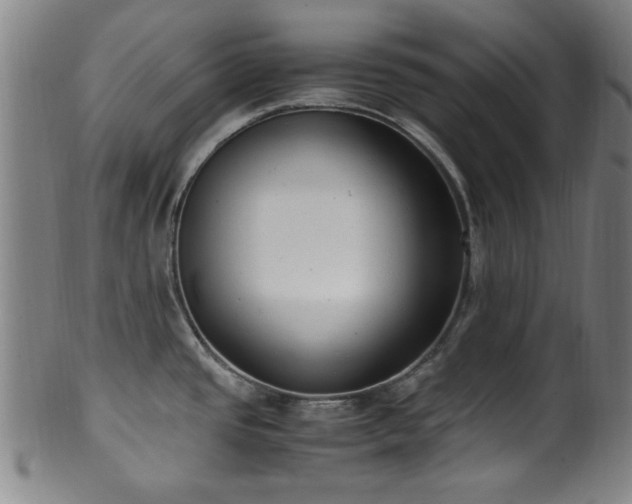 X0000100351437200806061104