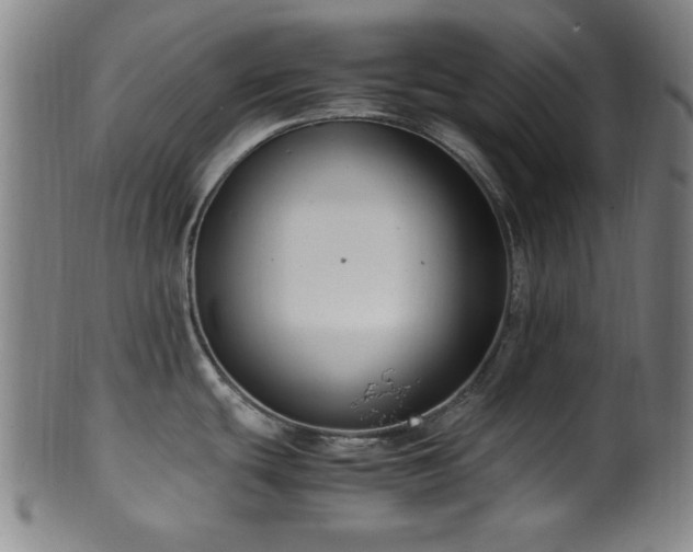 X0000100351439200806061104