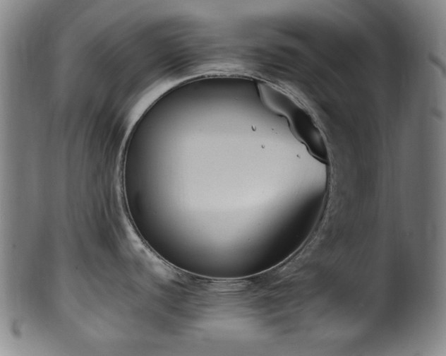 X0000100351440200806061104