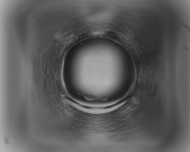 X0000100351441200806061103