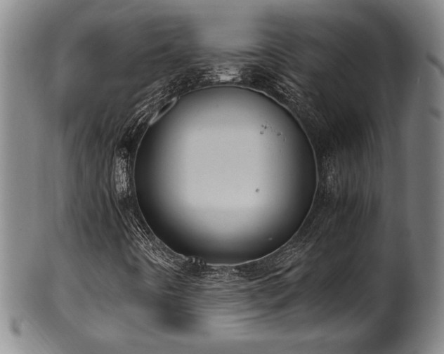 X0000100351442200806061103