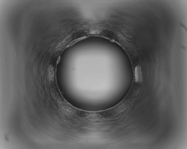 X0000100351443200806061103