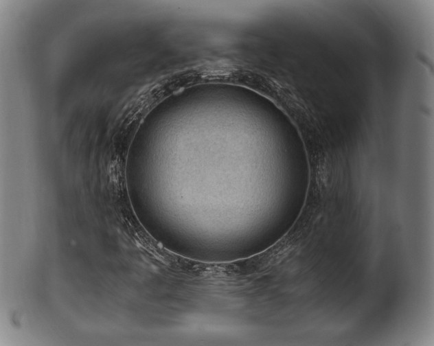 X0000100351445200806061103