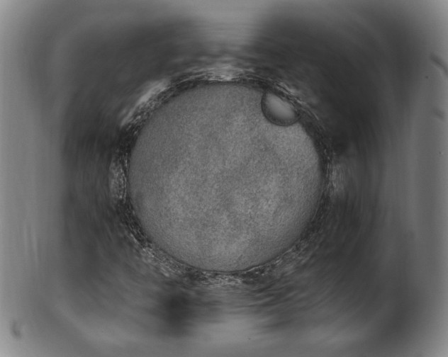 X0000100351446200806061103