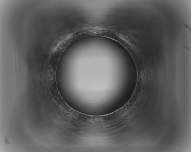 X0000100351447200806061103