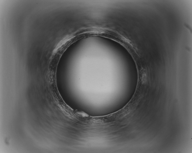X0000100351448200806061103