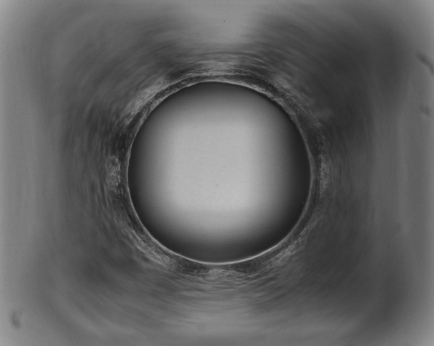 X0000100351449200806061103