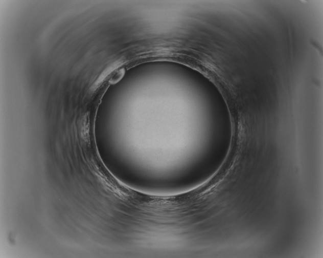 X0000100351450200806061103