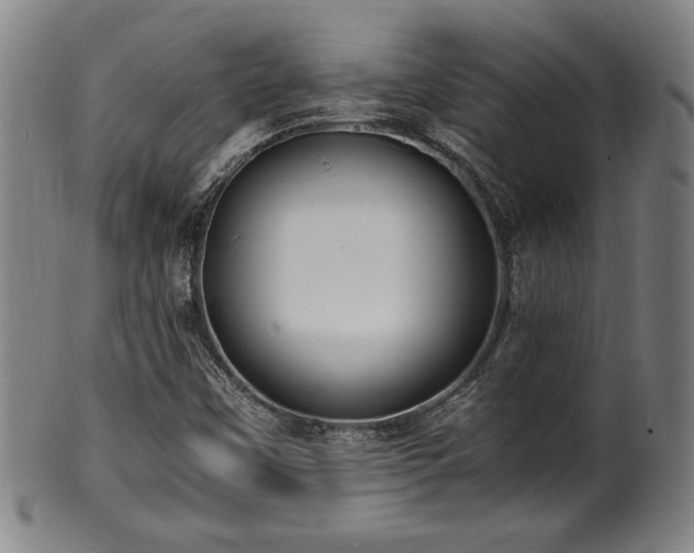 X0000100351451200806061103