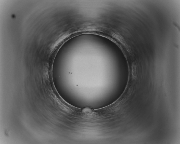X0000100351452200806061103