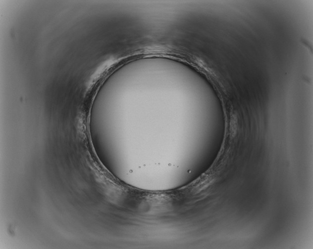 X0000100351454200806061103