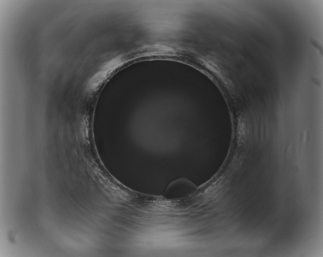 X0000100351455200806061103