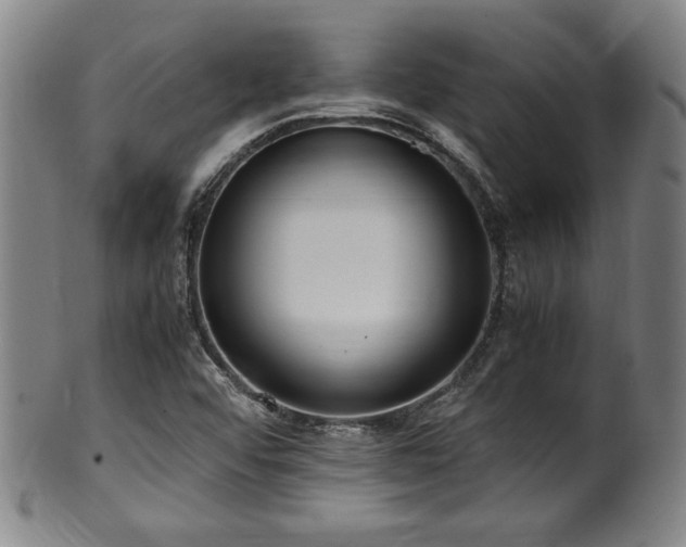 X0000100351456200806061103