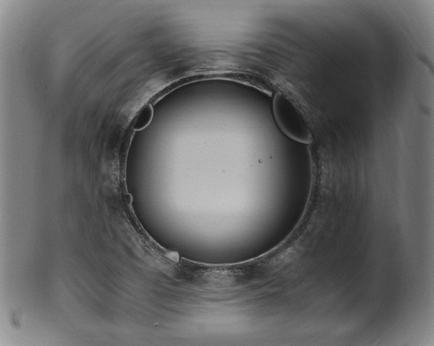 X0000100351457200806061103