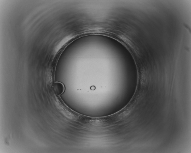 X0000100351458200806061103
