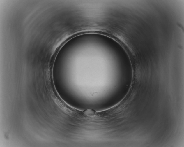 X0000100351460200806061103
