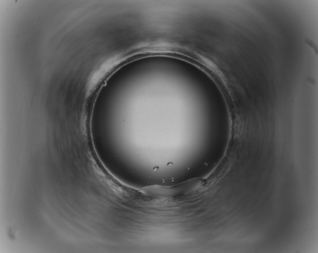 X0000100351464200806061103