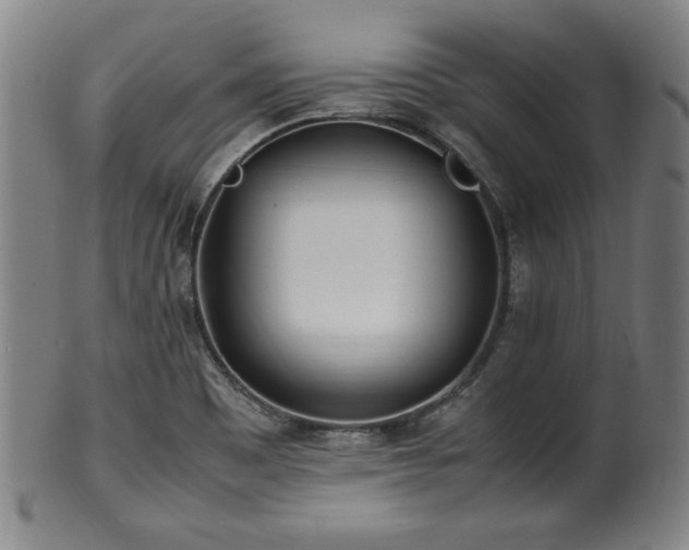 X0000100351465200806061103