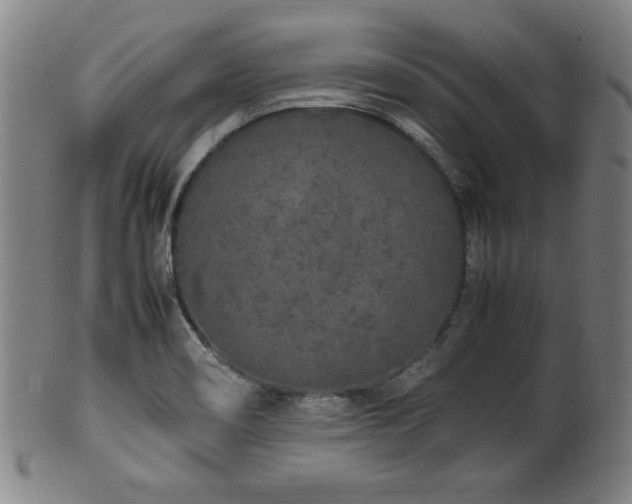X0000100351466200806061103
