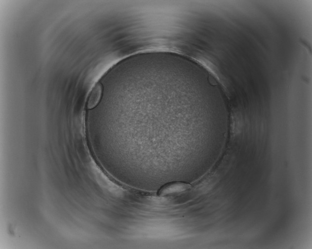 X0000100351468200806061103