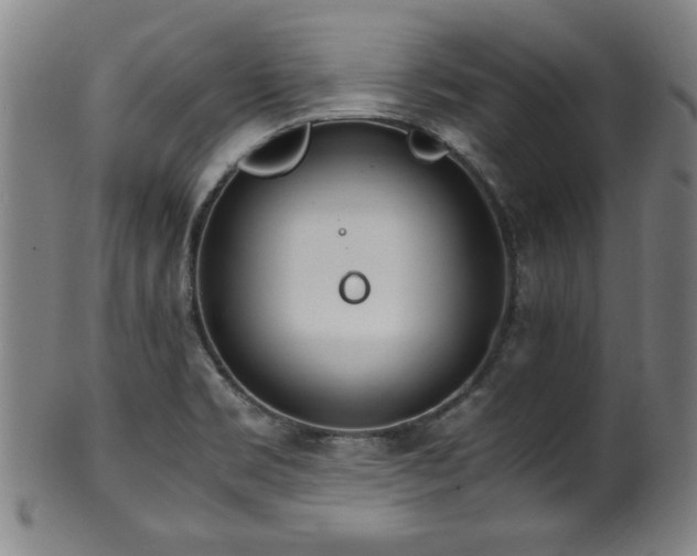 X0000100351469200806061103