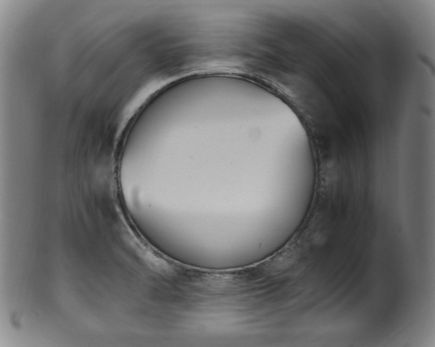 X0000100351470200806061103