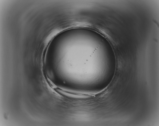 X0000100351471200806061103