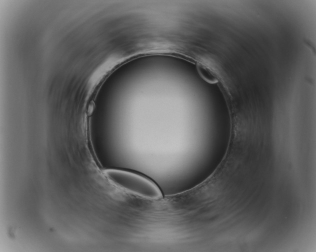 X0000100351472200806061103