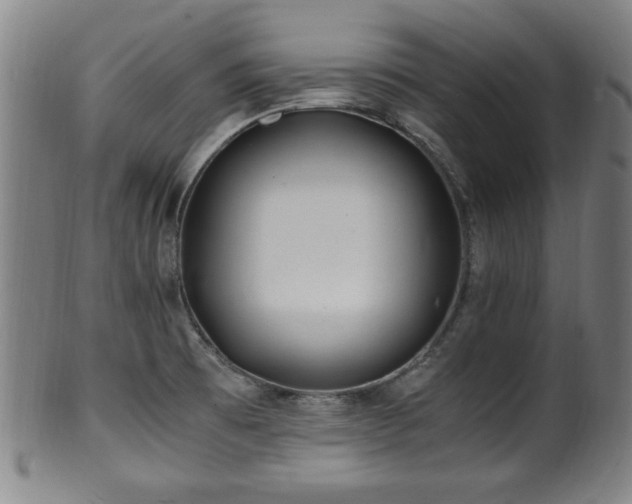 X0000100351473200806061103